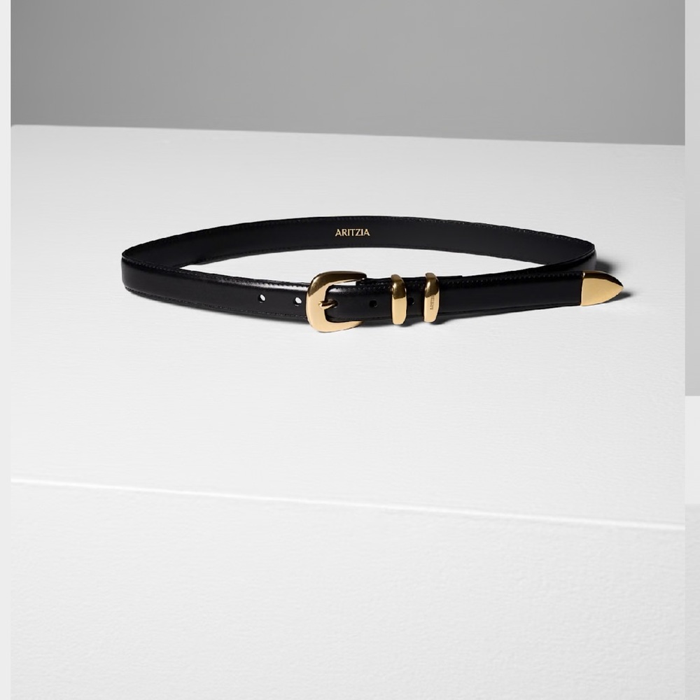 NWT Aritzia Legendary Solid Brass Leather Belt